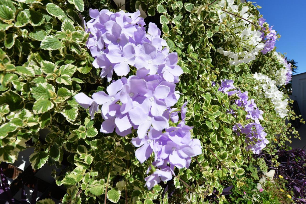 Apartment Lavender Vir Luaran gambar